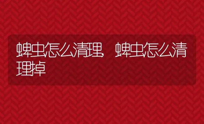 蜱虫怎么清理,蜱虫怎么清理掉 | 养殖资料