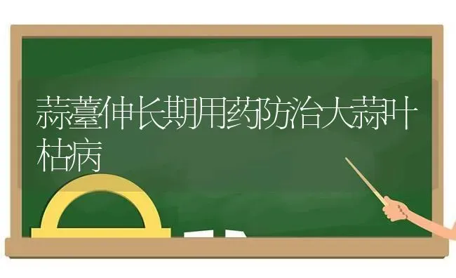 蒜薹伸长期用药防治大蒜叶枯病 | 养殖知识