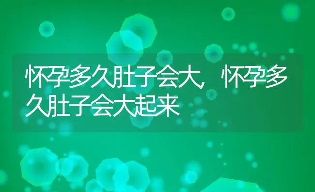 怀孕多久肚子会大,怀孕多久肚子会大起来 | 养殖科普