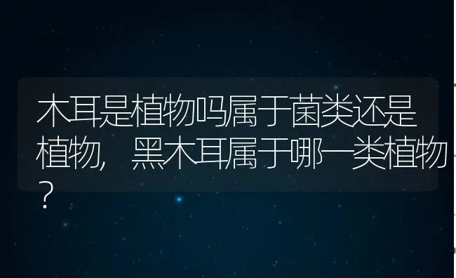 木耳是植物吗属于菌类还是植物,黑木耳属于哪一类植物？ | 养殖科普