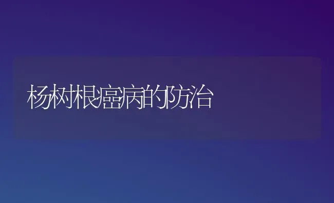 杨树根癌病的防治 | 养殖技术大全