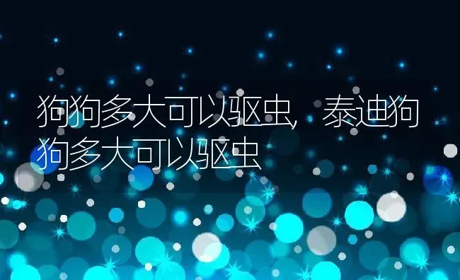 狗狗多大可以驱虫,泰迪狗狗多大可以驱虫 | 养殖资料