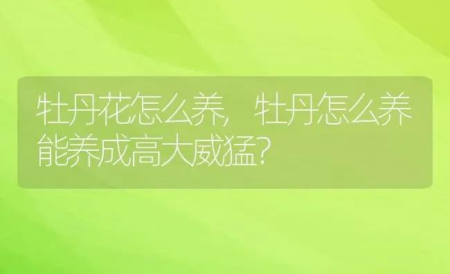 牡丹花怎么养,牡丹怎么养能养成高大威猛？ | 养殖学堂