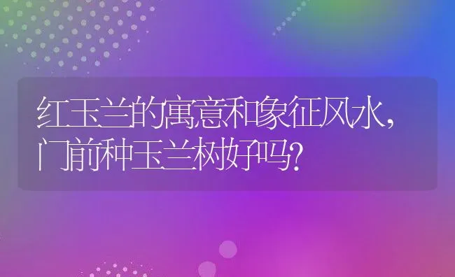 红玉兰的寓意和象征风水,门前种玉兰树好吗？ | 养殖科普