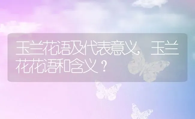 玉兰花语及代表意义,玉兰花花语和含义？ | 养殖科普