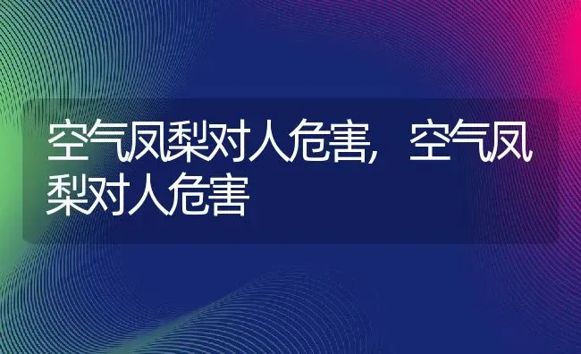 空气凤梨对人危害,空气凤梨对人危害 | 养殖科普