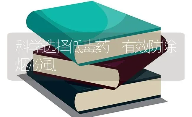 科学选择低毒药　有效防除烟粉虱 | 养殖知识