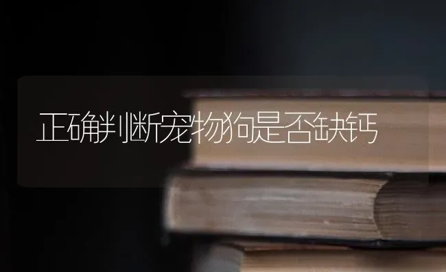 正确判断宠物狗是否缺钙 | 养殖技术大全