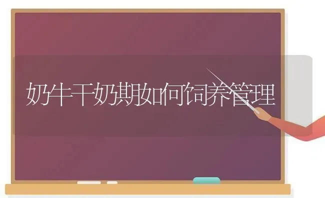 奶牛干奶期如何饲养管理 | 养殖技术大全
