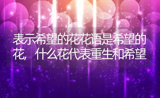 表示希望的花花语是希望的花,什么花代表重生和希望 | 养殖学堂