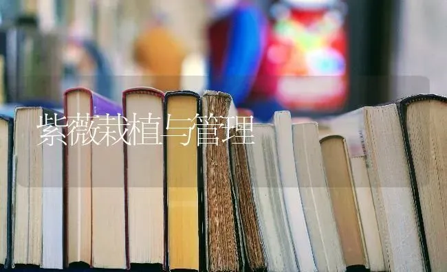 紫薇栽植与管理 | 养殖知识