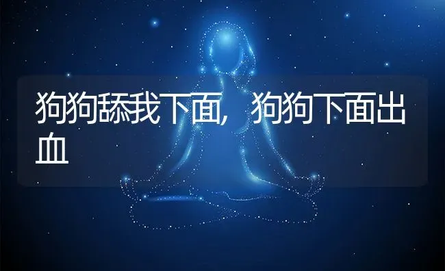 狗狗舔我下面,狗狗下面出血 | 养殖资料