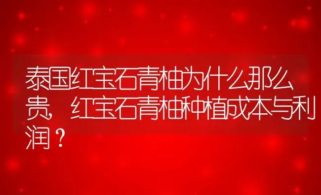 泰国红宝石青柚为什么那么贵,红宝石青柚种植成本与利润？ | 养殖学堂