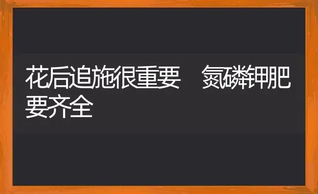花后追施很重要 氮磷钾肥要齐全 | 养殖技术大全