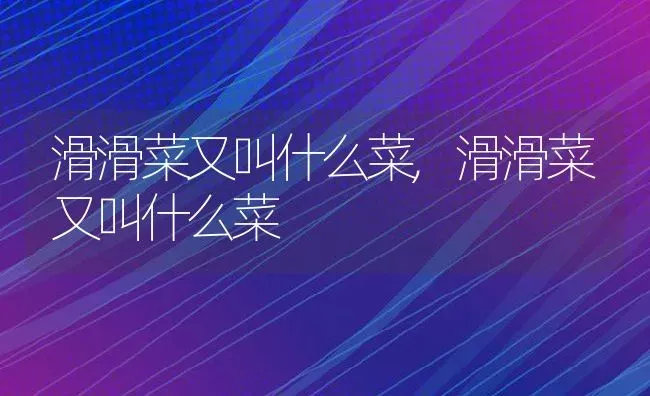 滑滑菜又叫什么菜,滑滑菜又叫什么菜 | 养殖科普