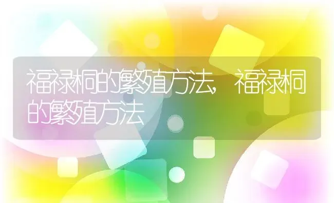 福禄桐的繁殖方法,福禄桐的繁殖方法 | 养殖科普