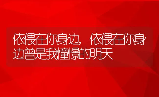 依偎在你身边,依偎在你身边曾是我憧憬的明天 | 养殖资料