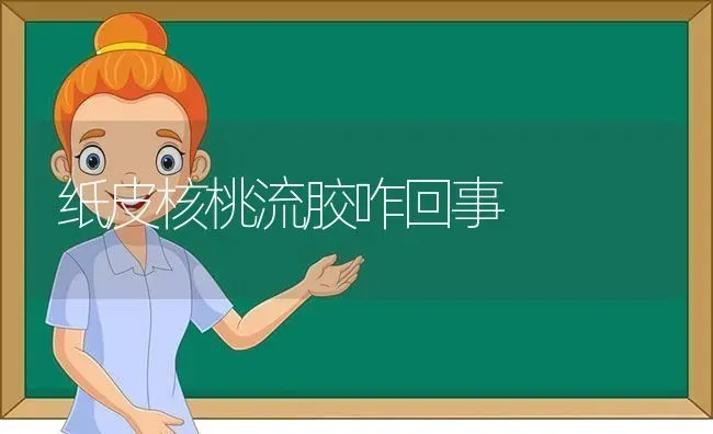 纸皮核桃流胶咋回事 | 养殖技术大全