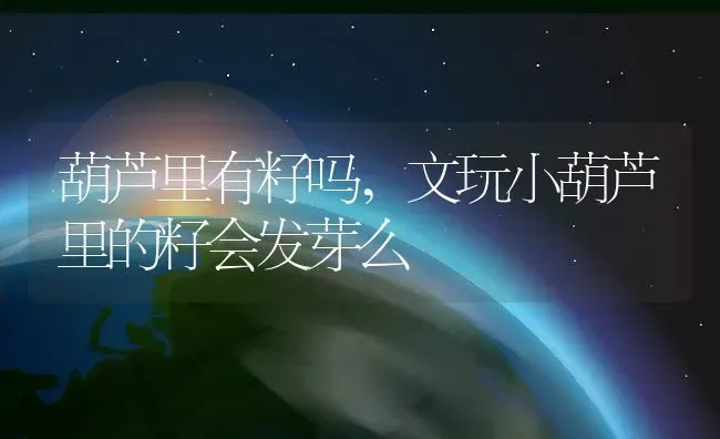 葫芦里有籽吗,文玩小葫芦里的籽会发芽么 | 养殖学堂