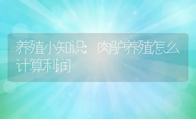 养殖小知识:肉驴养殖怎么计算利润 | 养殖学堂