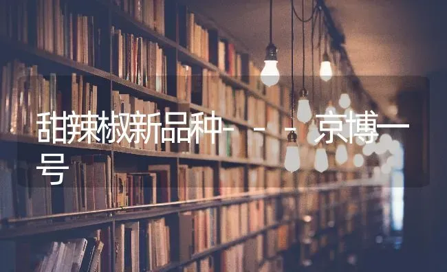 甜辣椒新品种---京博一号 | 养殖知识