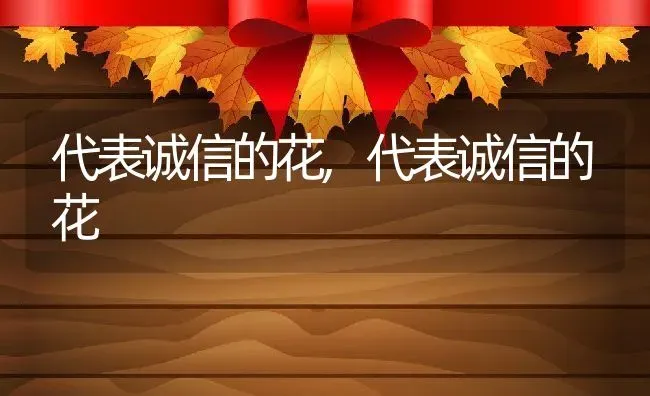 代表诚信的花,代表诚信的花 | 养殖科普