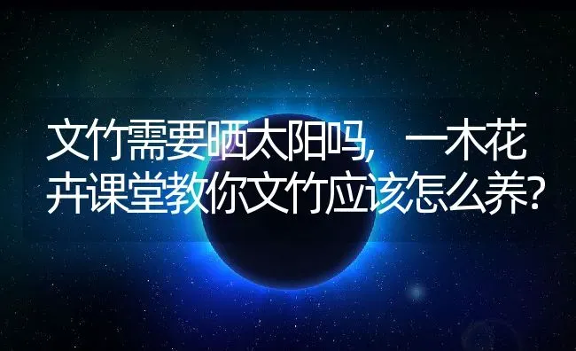 文竹需要晒太阳吗,一木花卉课堂教你文竹应该怎么养？ | 养殖科普