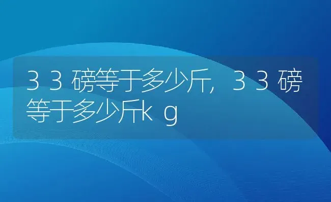 33磅等于多少斤,33磅等于多少斤kg | 养殖资料