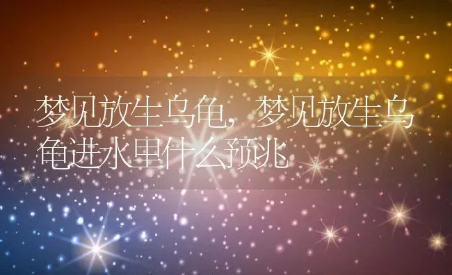 梦见放生乌龟,梦见放生乌龟进水里什么预兆 | 养殖学堂
