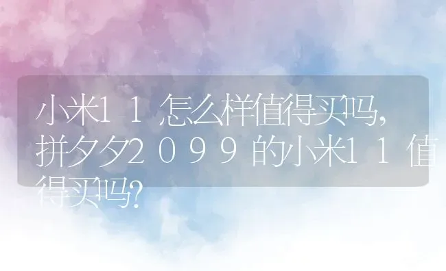 小米11怎么样值得买吗,拼夕夕2099的小米11值得买吗？ | 养殖科普
