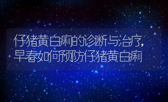 仔猪黄白痢的诊断与治疗,早春如何预防仔猪黄白痢 | 养殖学堂