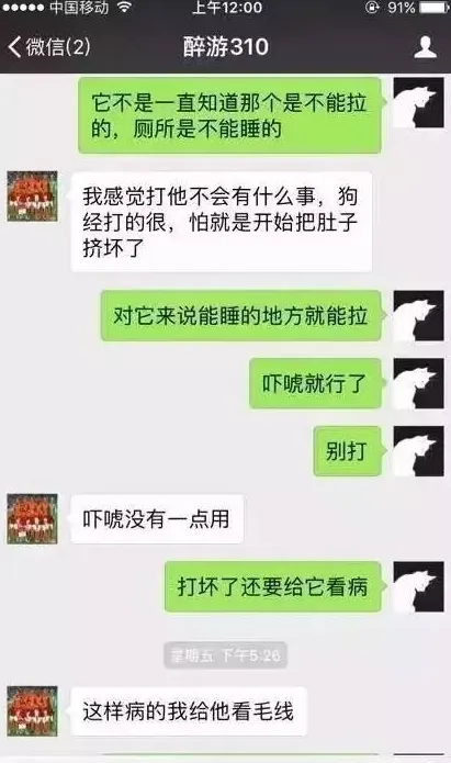 法斗不听话打哪里,狗狗不听话怎么打？