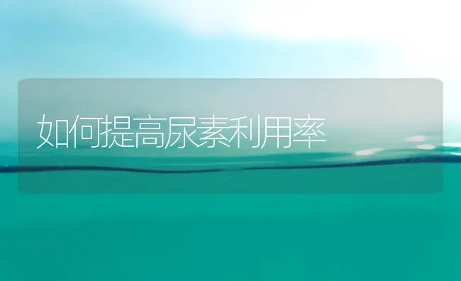 如何提高尿素利用率 | 养殖技术大全