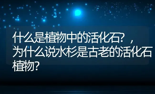 什么是植物中的活化石?,为什么说水杉是古老的活化石植物？ | 养殖科普