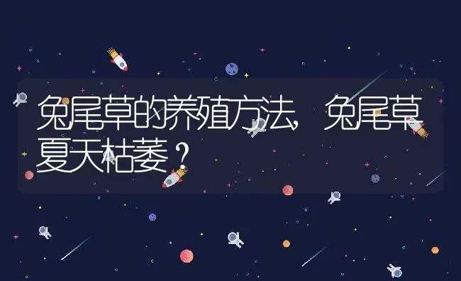 兔尾草的养殖方法,兔尾草夏天枯萎？ | 养殖科普