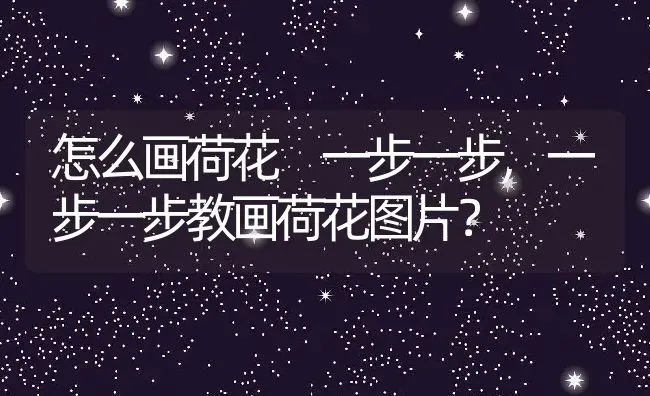 怎么画荷花 一步一步,一步一步教画荷花图片？ | 养殖学堂