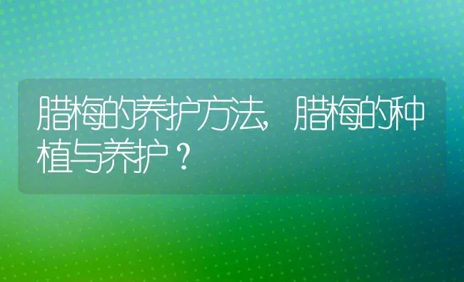 腊梅的养护方法,腊梅的种植与养护？ | 养殖科普