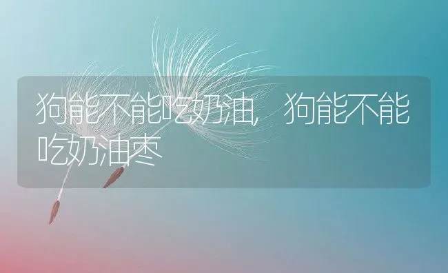 狗能不能吃奶油,狗能不能吃奶油枣 | 养殖科普