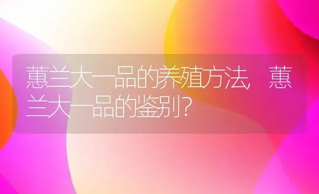 蕙兰大一品的养殖方法,蕙兰大一品的鉴别？ | 养殖科普