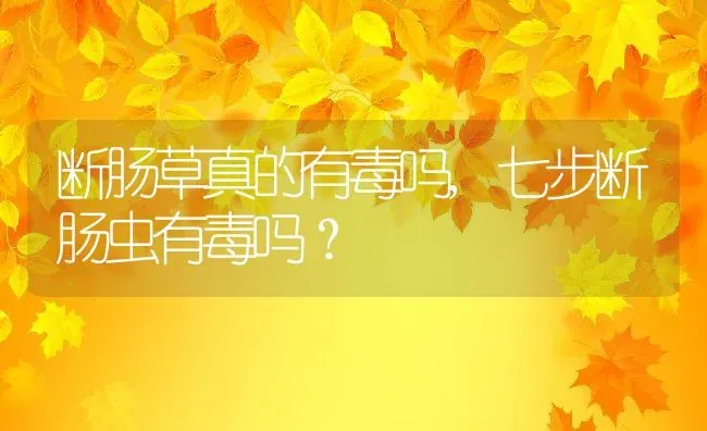 断肠草真的有毒吗,七步断肠虫有毒吗？ | 养殖科普