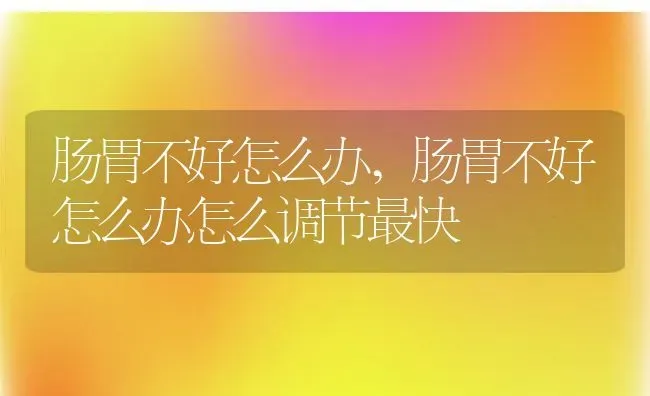 肠胃不好怎么办,肠胃不好怎么办怎么调节最快 | 养殖资料