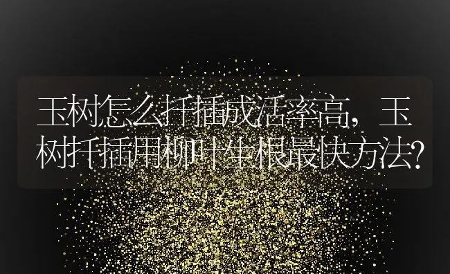 玉树怎么扦插成活率高,玉树扦插用柳叶生根最快方法？ | 养殖科普
