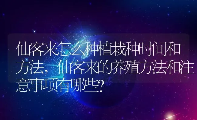 仙客来怎么种植栽种时间和方法,仙客来的养殖方法和注意事项有哪些？ | 养殖科普