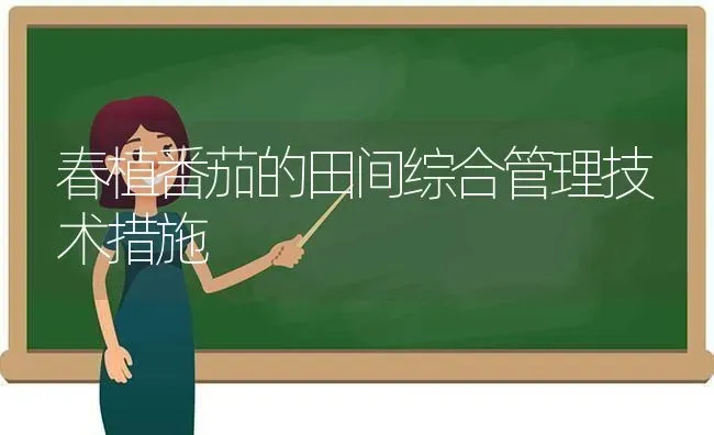 春植番茄的田间综合管理技术措施 | 养殖技术大全