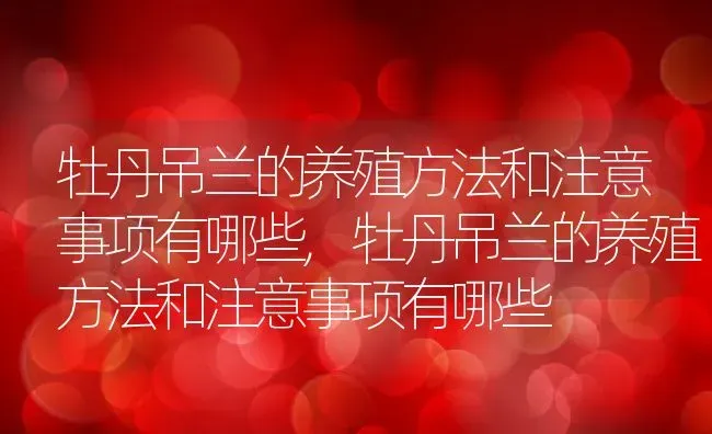 牡丹吊兰的养殖方法和注意事项有哪些,牡丹吊兰的养殖方法和注意事项有哪些 | 养殖科普