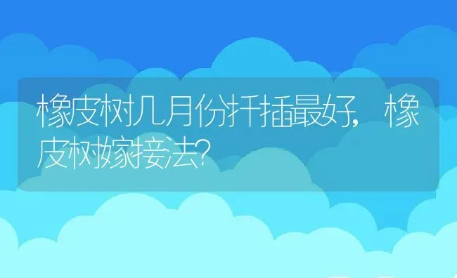 橡皮树几月份扦插最好,橡皮树嫁接法？ | 养殖科普