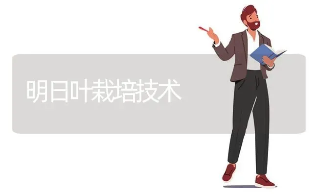 明日叶栽培技术 | 养殖技术大全