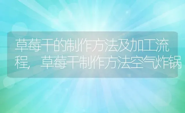 草莓干的制作方法及加工流程,草莓干制作方法空气炸锅 | 养殖学堂