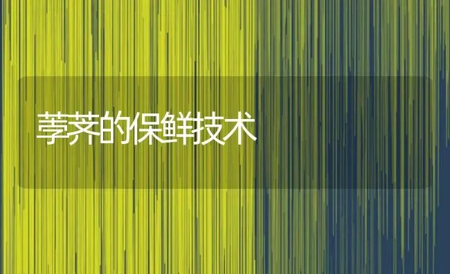 荸荠的保鲜技术 | 养殖技术大全