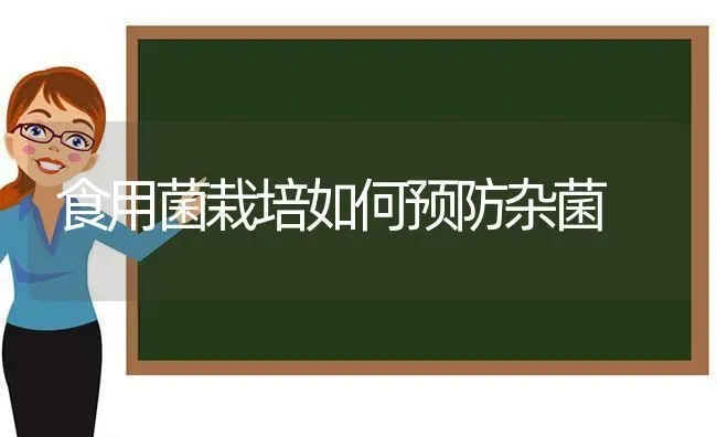 食用菌栽培如何预防杂菌 | 养殖技术大全